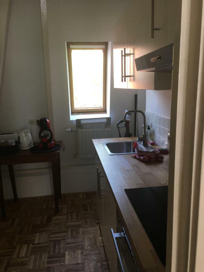 Апартаменти Pied A Terre Oostersingel Umcg Гронінген Екстер'єр фото